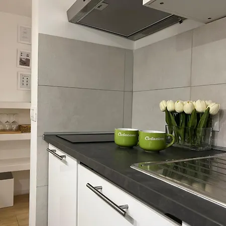 Modern Mini Loft Fleming روما